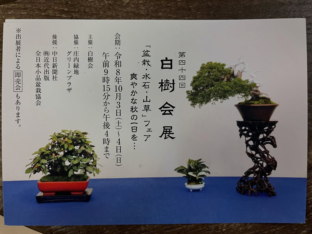 第44回白樹会展「盆栽・水石・山草」フェアを10月開催、庄内緑地グリーンプラザで2日間実施