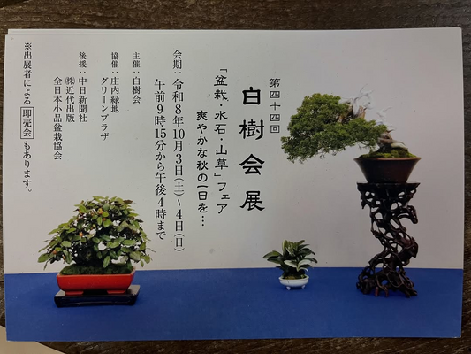 第44回白樹会展「盆栽・水石・山草」フェアを10月開催、庄内緑地グリーンプラザで2日間実施