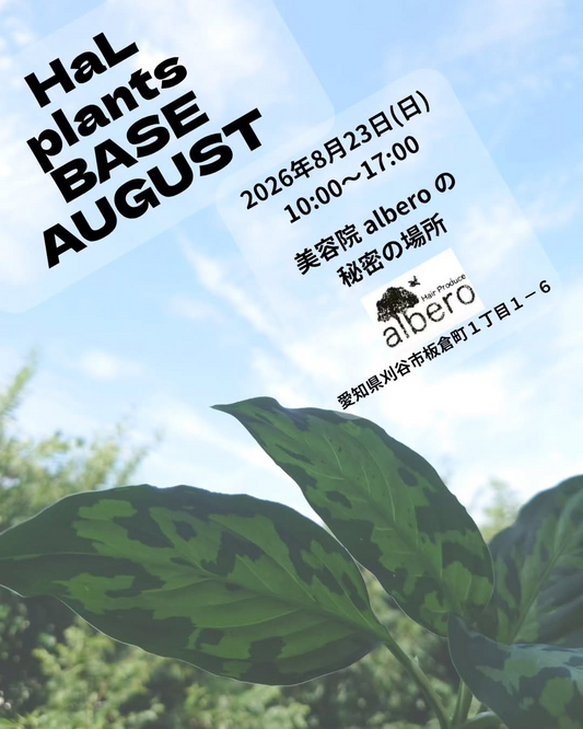 HaL plants BASE AUGUST 2026を8月23日に開催、植物販売と植え替えや株分け講座を実施