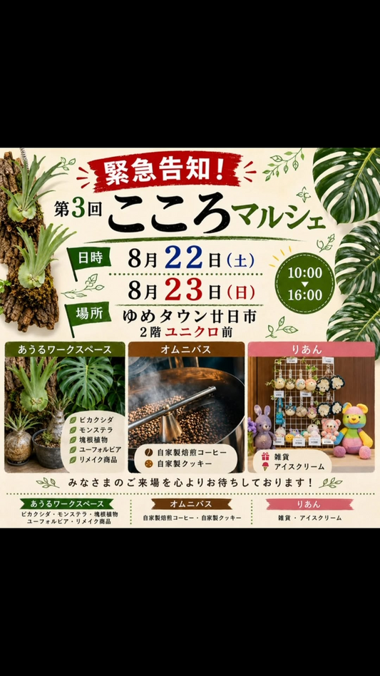 第3回こころマルシェをゆめタウン廿日市で開催、塊根植物とユーフォルビアの販売