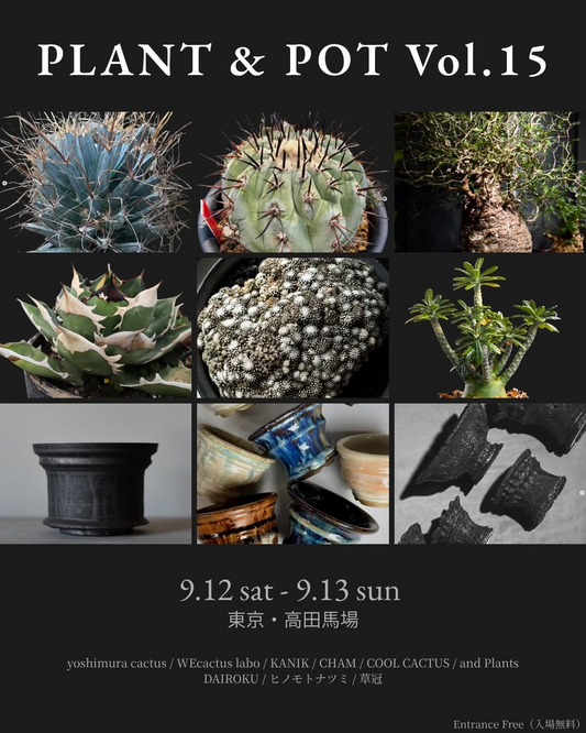 PLANT & POT Vol.15にCOOL CACTUSが9月13日出展、造形のサボテンと鉢を紹介