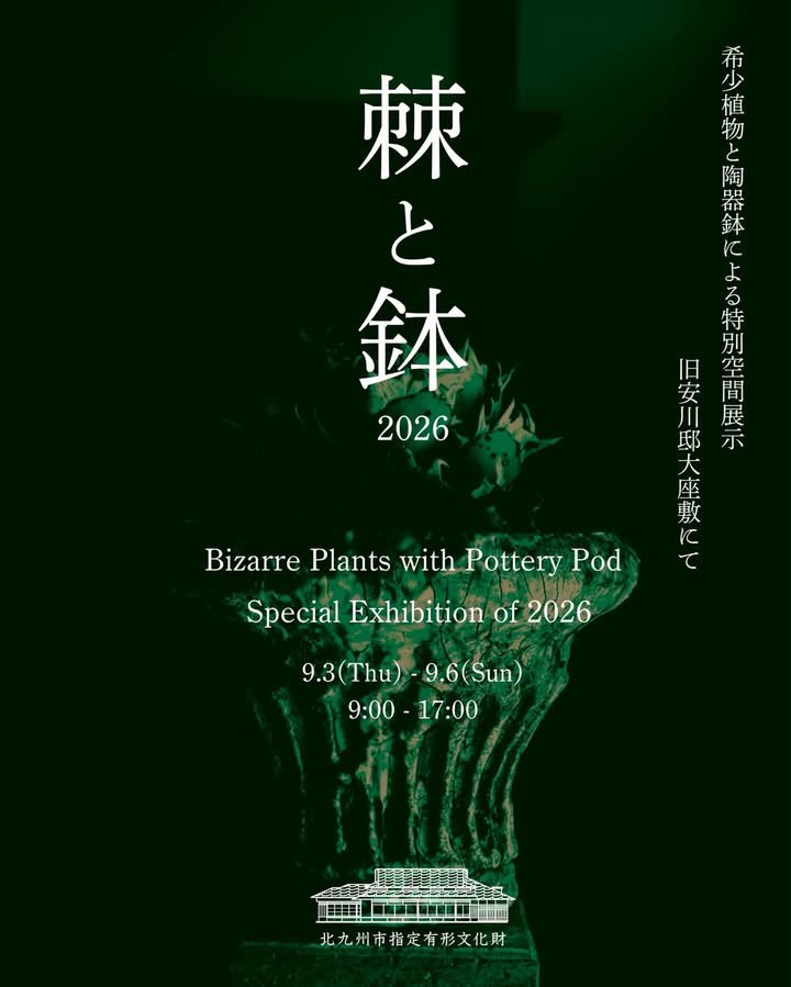 棘と鉢2026が旧安川邸で希少植物と陶器鉢を展示、9月5日と6日は植物及び鉢を販売