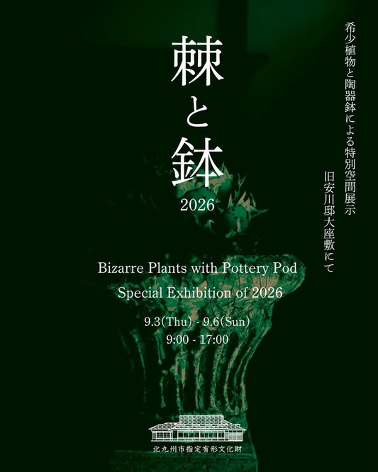 棘と鉢2026が旧安川邸で希少植物と陶器鉢を展示、9月5日と6日は植物及び鉢を販売