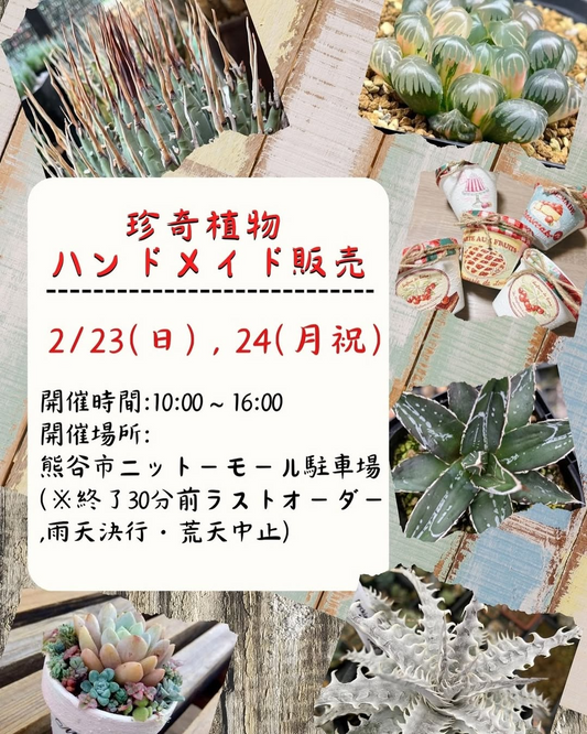 nisitokyo plantsが熊谷で珍奇植物販売会を開催、キッチンカーイベントとの同時開催で集客力を強化