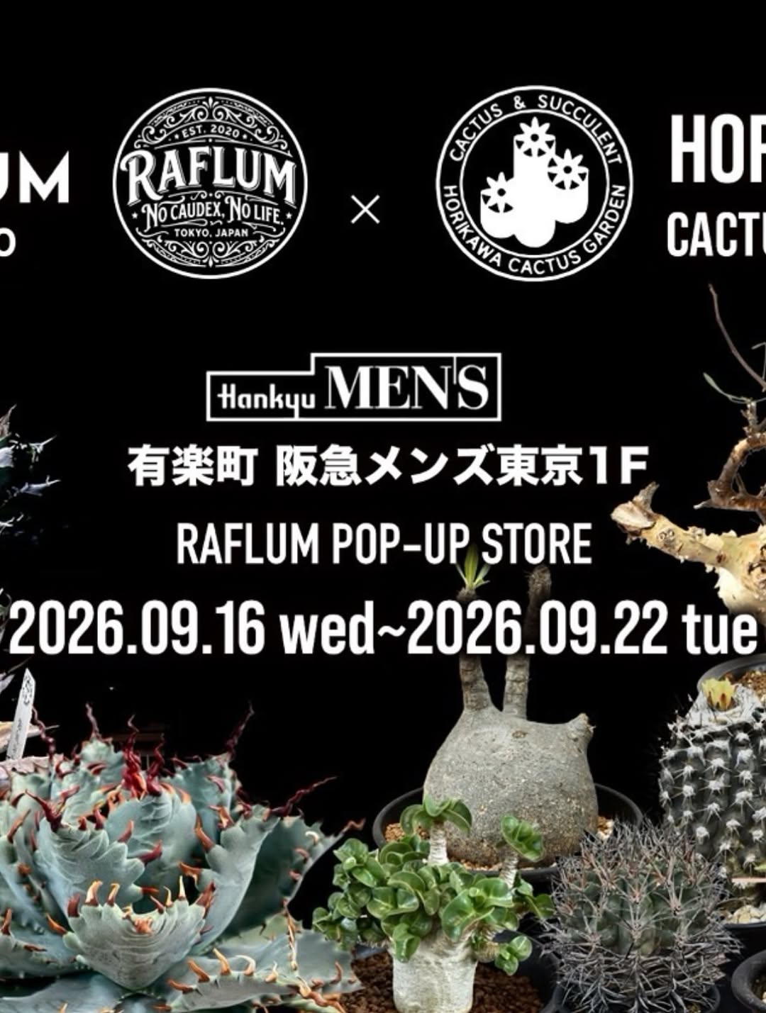 阪急メンズ東京 × RAFLUM POP-UP STOREが9月開催、塊根植物やアガベを一挙販売