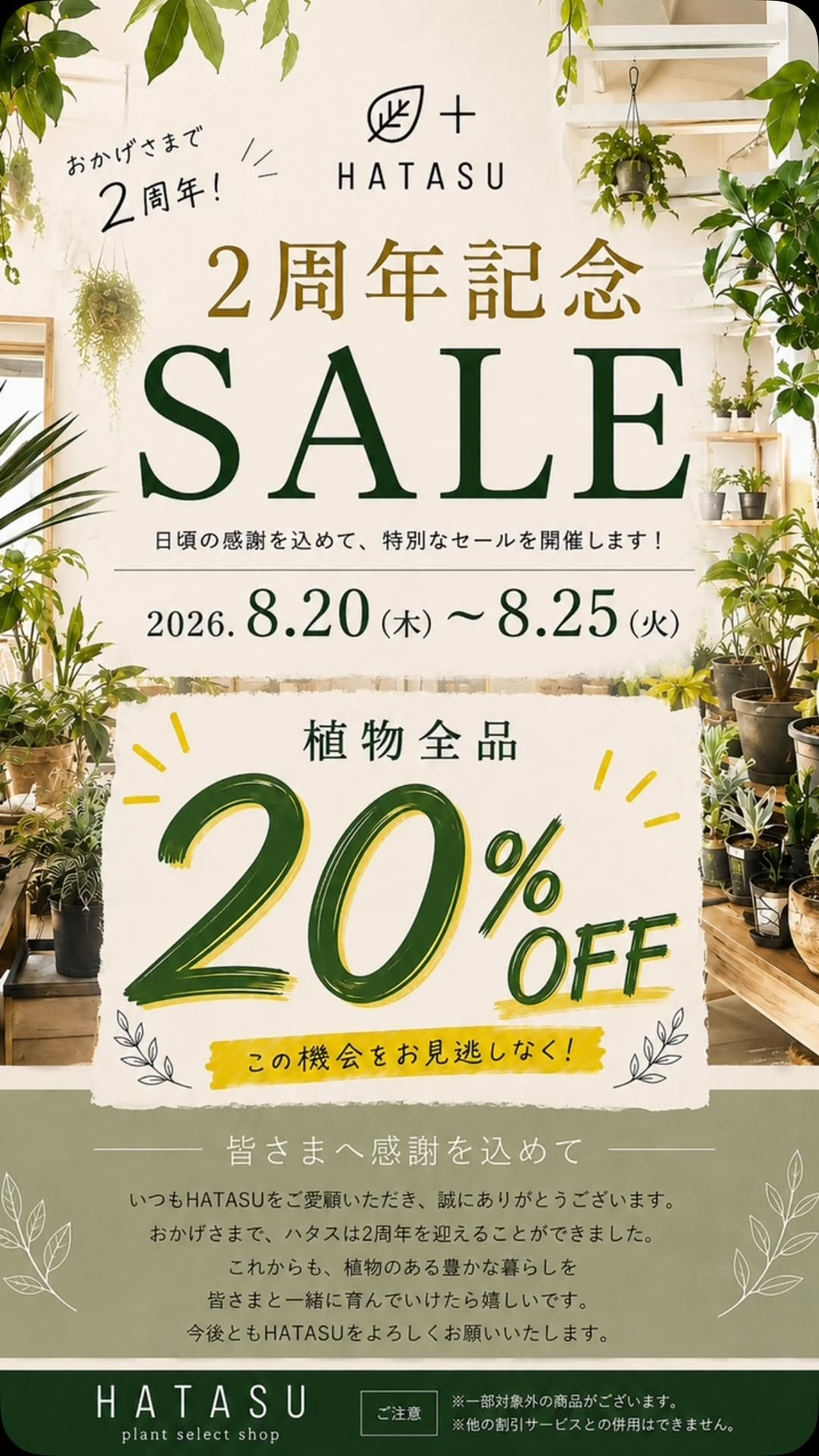 HATASU 2周年記念SALEで植物全品20%OFF、8月22日には植物夜市第二弾も開催