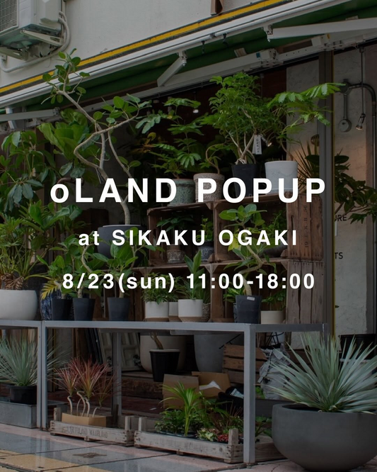 oLAND POP UP at SIKAKU OGAKIを8月23日に開催、沖縄観葉やオージープランツなどを大垣で出品