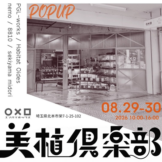 美植倶楽部POPUP EVENT2026が北本で開催、5組が植物や作品を持ち寄る2日間