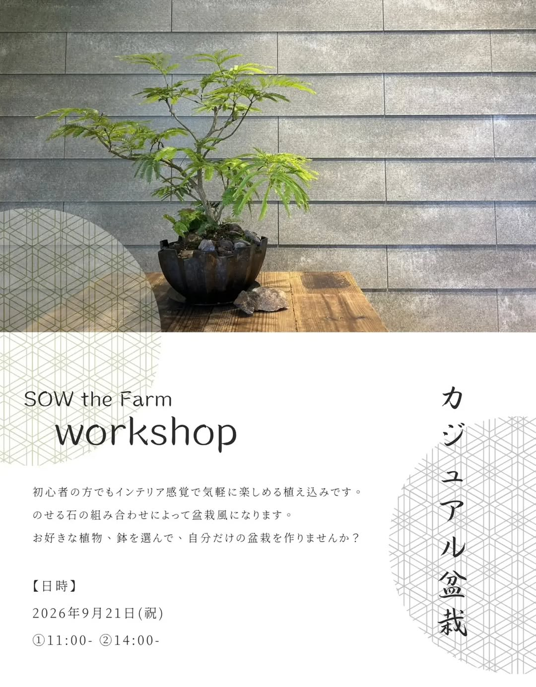 SOW the Farm workshopカジュアル盆栽2026を柏の葉で開催、初心者や子どもも参加できる盆栽づくり体験
