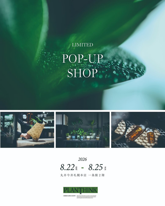 PLANTHINKがPOP-UP SHOPを2026年8月22日から開催、観葉植物とケアグッズを丸井今井札幌本店で展示販売