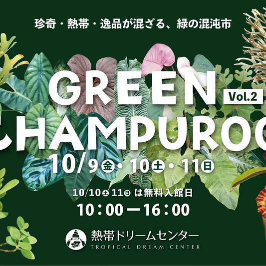 GREEN CHAMPUROO Vol.2が2026年10月に開催、珍奇植物や熱帯植物などを海洋博公園で展示即売