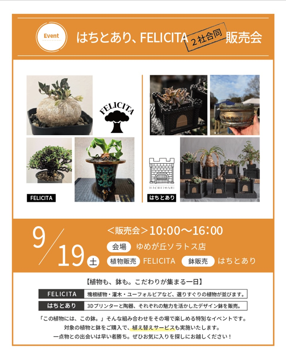 はちとあり、FELICITA 2社合同販売会を開催、植物とデザイン鉢の販売を実施