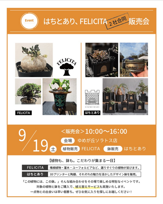 はちとあり、FELICITA 2社合同販売会を開催、植物とデザイン鉢の販売を実施