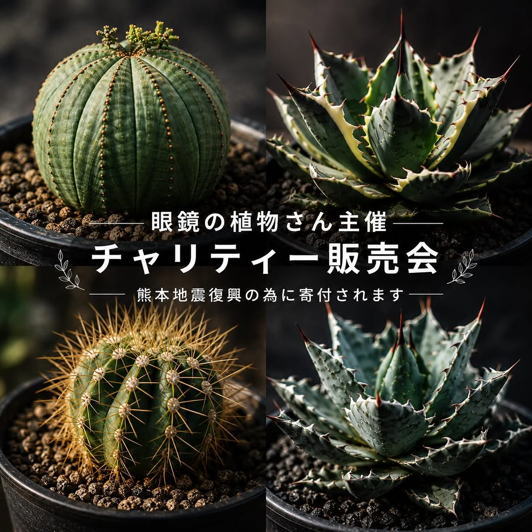 眼鏡の植物が熊本地震復興チャリティー販売会を開催、約50株の植物を販売し売上を復興支援へ寄付