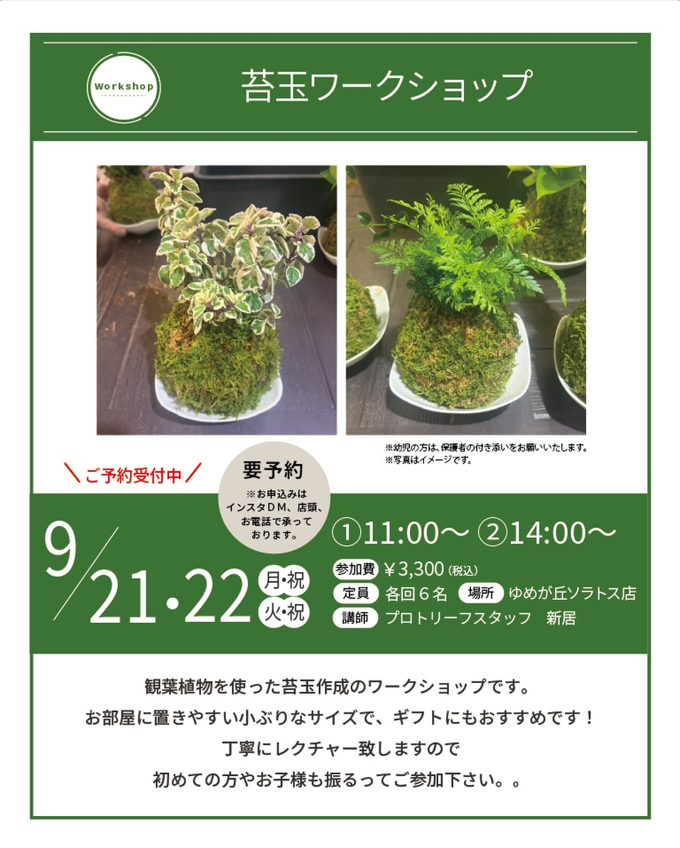 多肉植物、アガベ販売会＆ボタニーペインティング開催、淡路夢舞台で植物販売とワークショップ