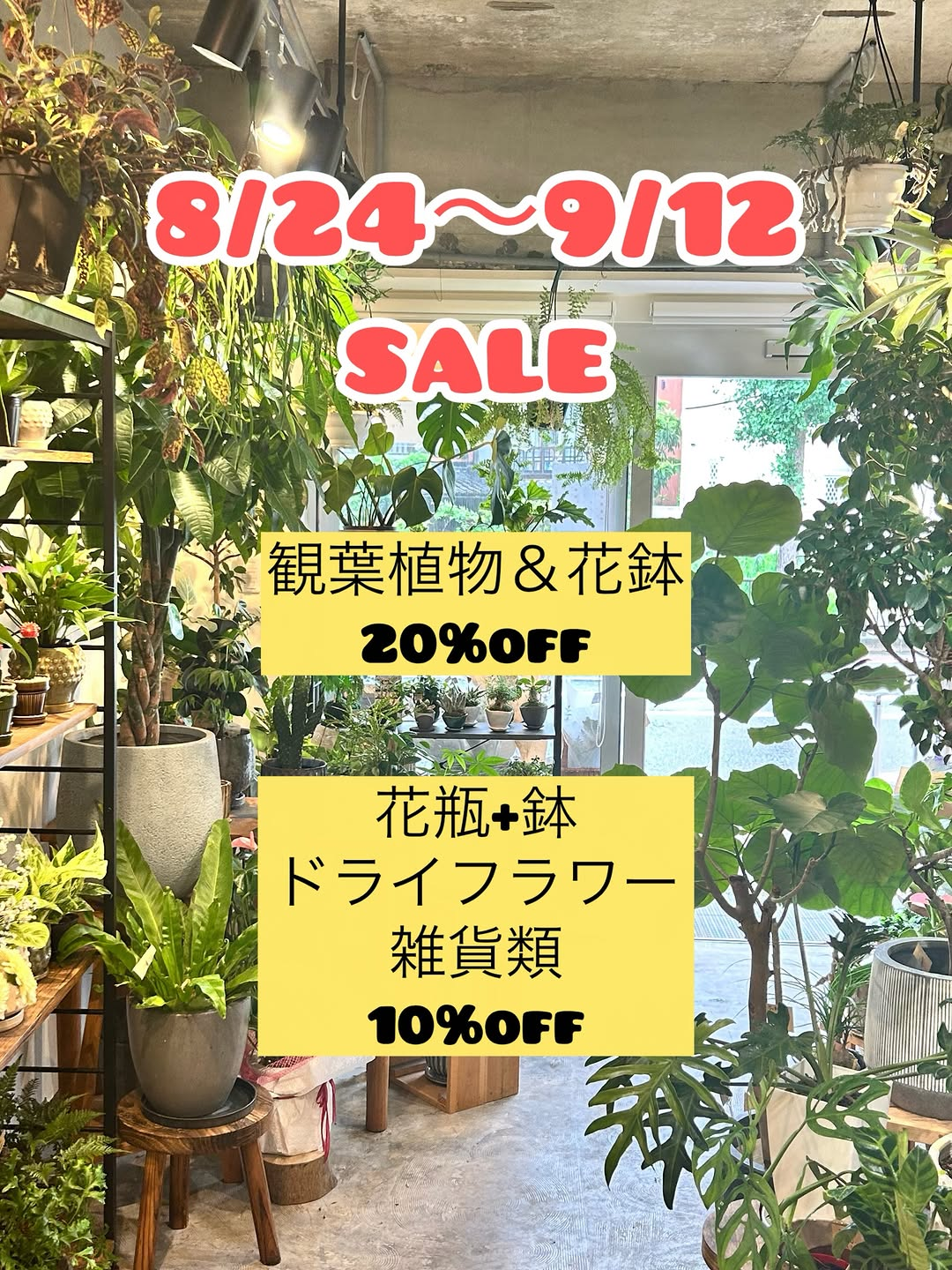 花葉が2026年SALEを開催、観葉植物と花鉢20%OFFや雑貨類10%OFF