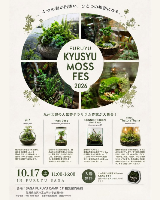 FURUYU KYUSYU MOSS FES 2026を開催、九州北部の苔テラリウム作家4組が古湯に出店