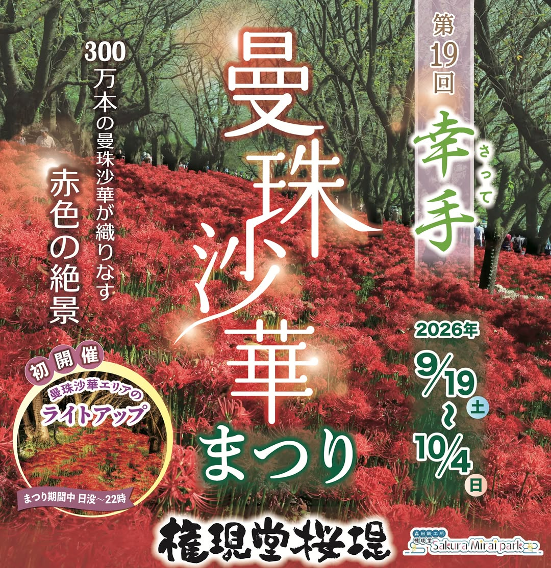 第19回幸手曼珠沙華まつりを権現堂桜堤で開催、約300万本の曼珠沙華と初開催のライトアップ