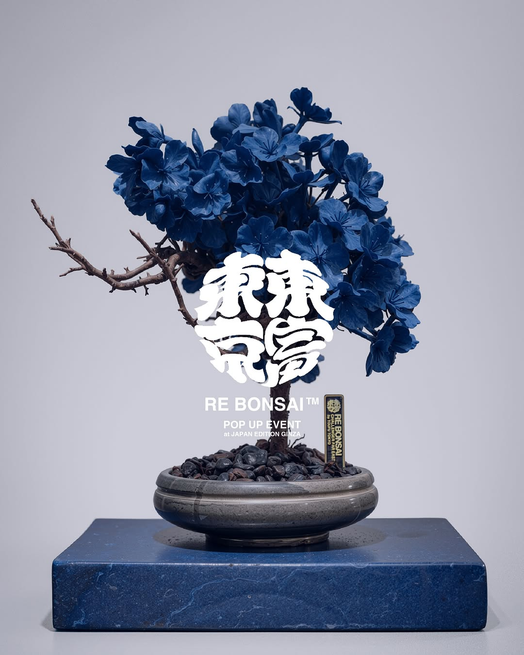TOUFU TOKYOがRE BONSAI™ POP UP EVENTを開催、JAPAN EDITION銀座店で8月31日まで展開