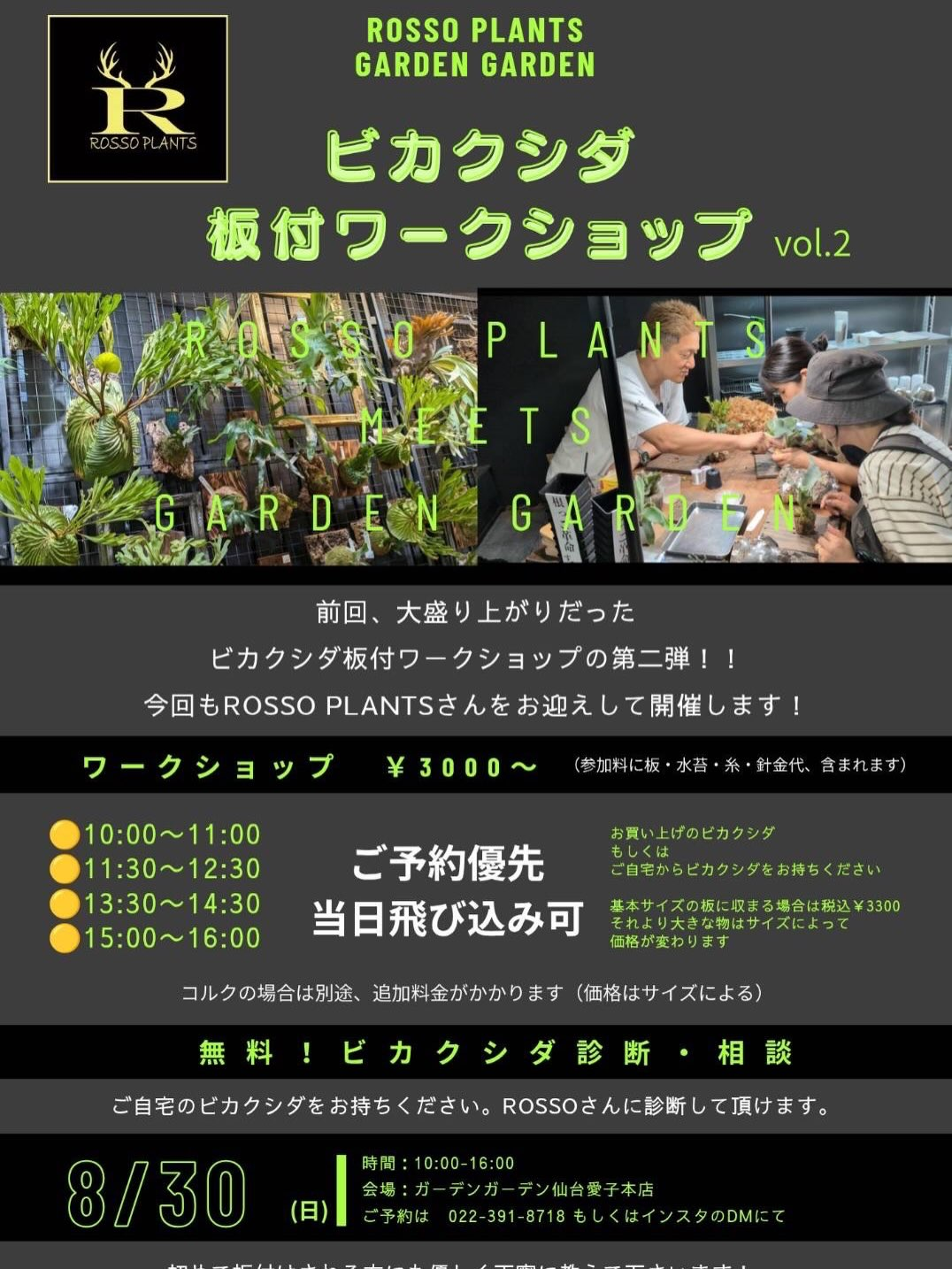 ROSSOPLANTSが2026年ビカクシダ板付ワークショップを開催、ガーデンガーデン仙台愛子本店で第二弾を実施