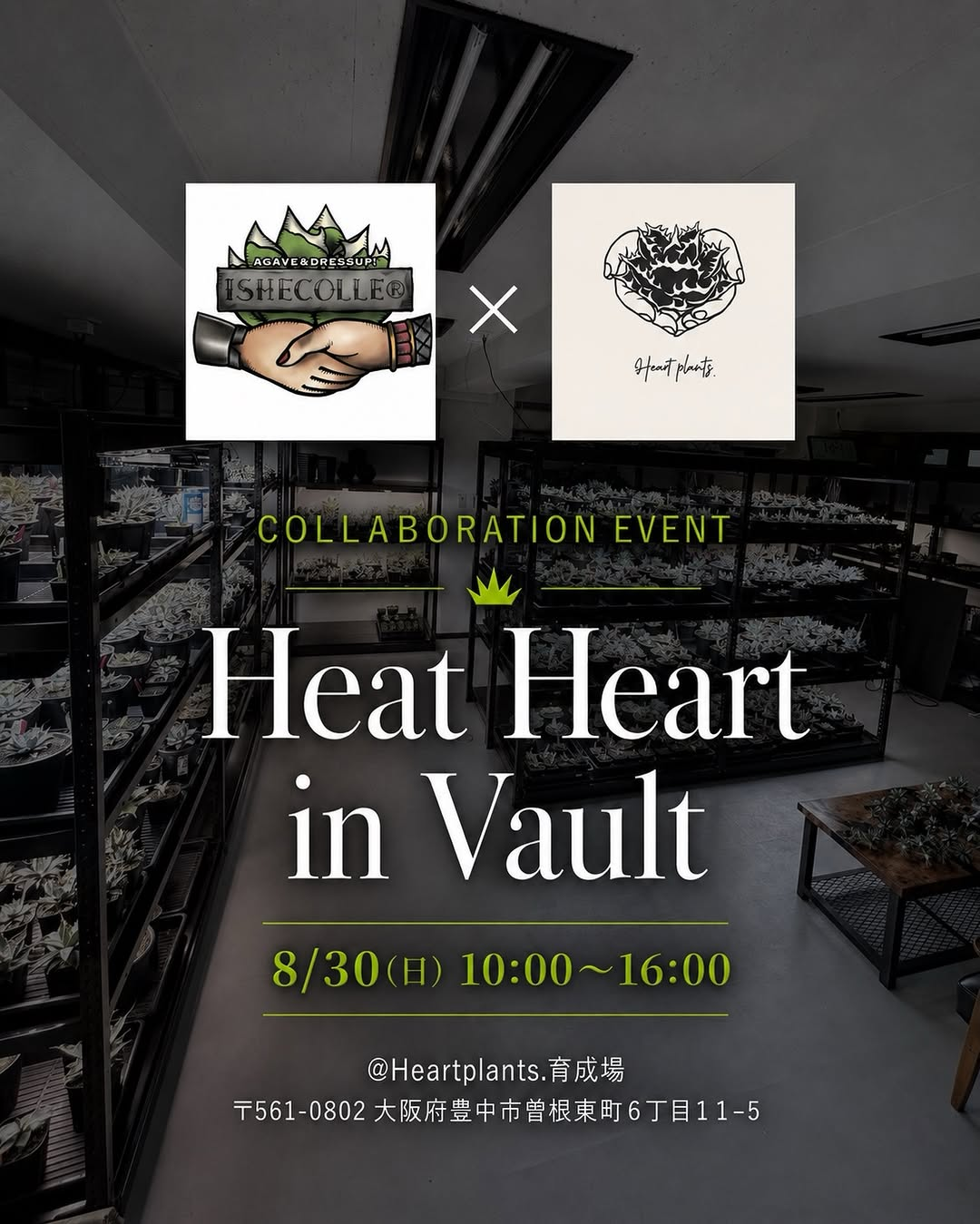 Heat Heart in Vaultを開催、ISHECOLLEとHeart plants.のコラボイベント