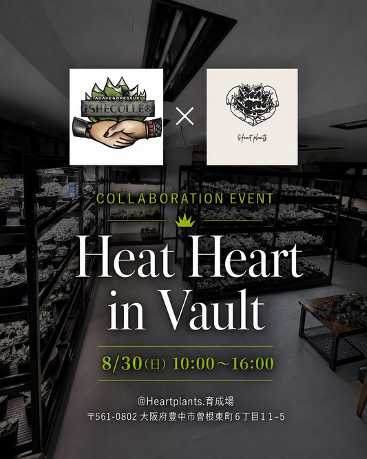 Heat Heart in Vaultを開催、ISHECOLLEとHeart plants.のコラボイベント
