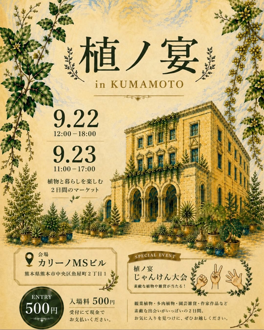 植ノ宴 in KUMAMOTO2026が熊本で開催、植物と雑貨を楽しむ2日間のマーケット