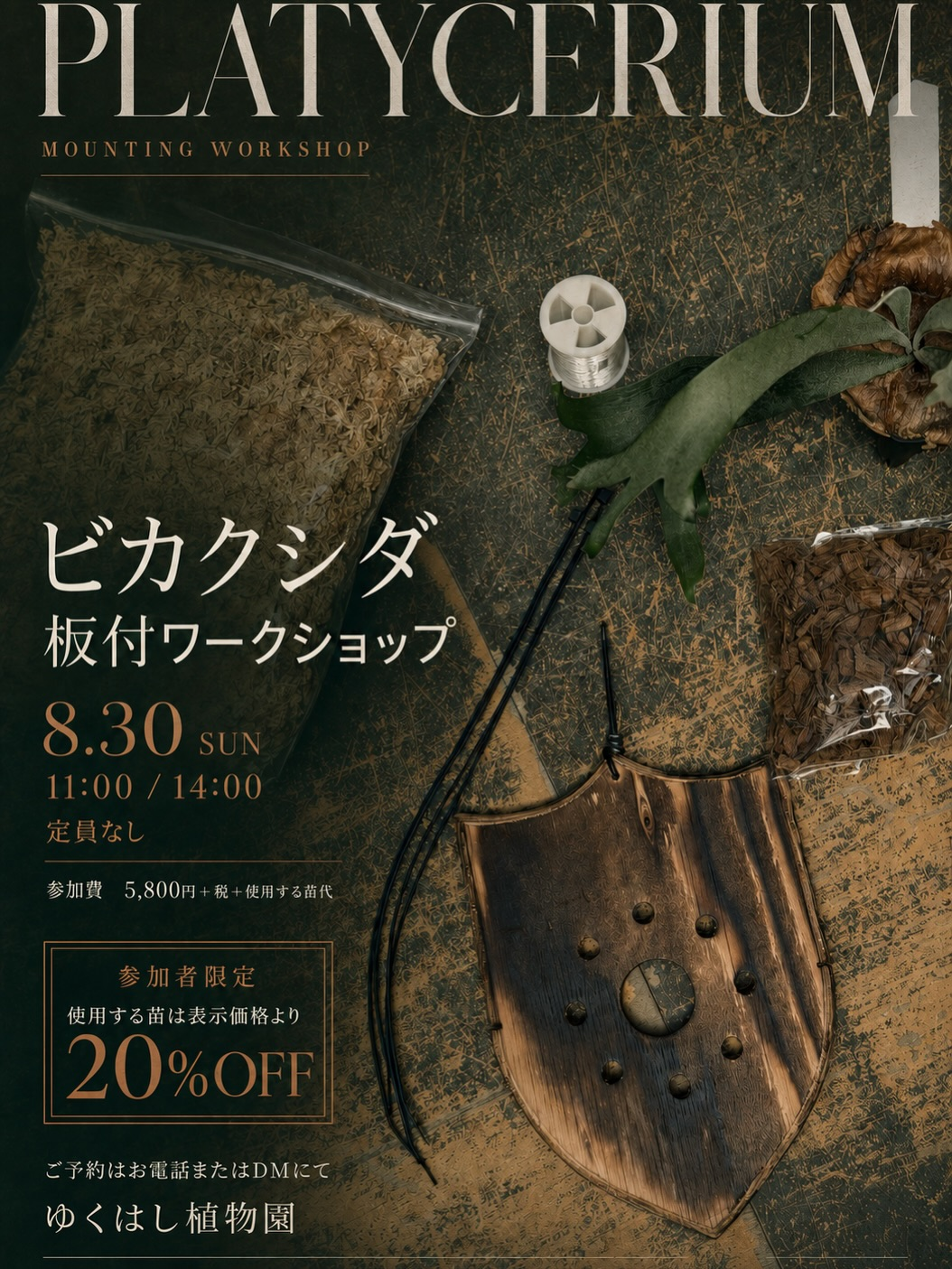 ゆくはし植物園がPLATYCERIUM MOUNTING WORKSHOPを開催、ビカクシダの板付を実施