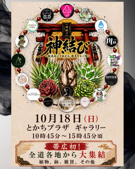 神結び 第一章2026が帯広で開催、全道各地から植物や鉢、雑貨などが集まるイベント