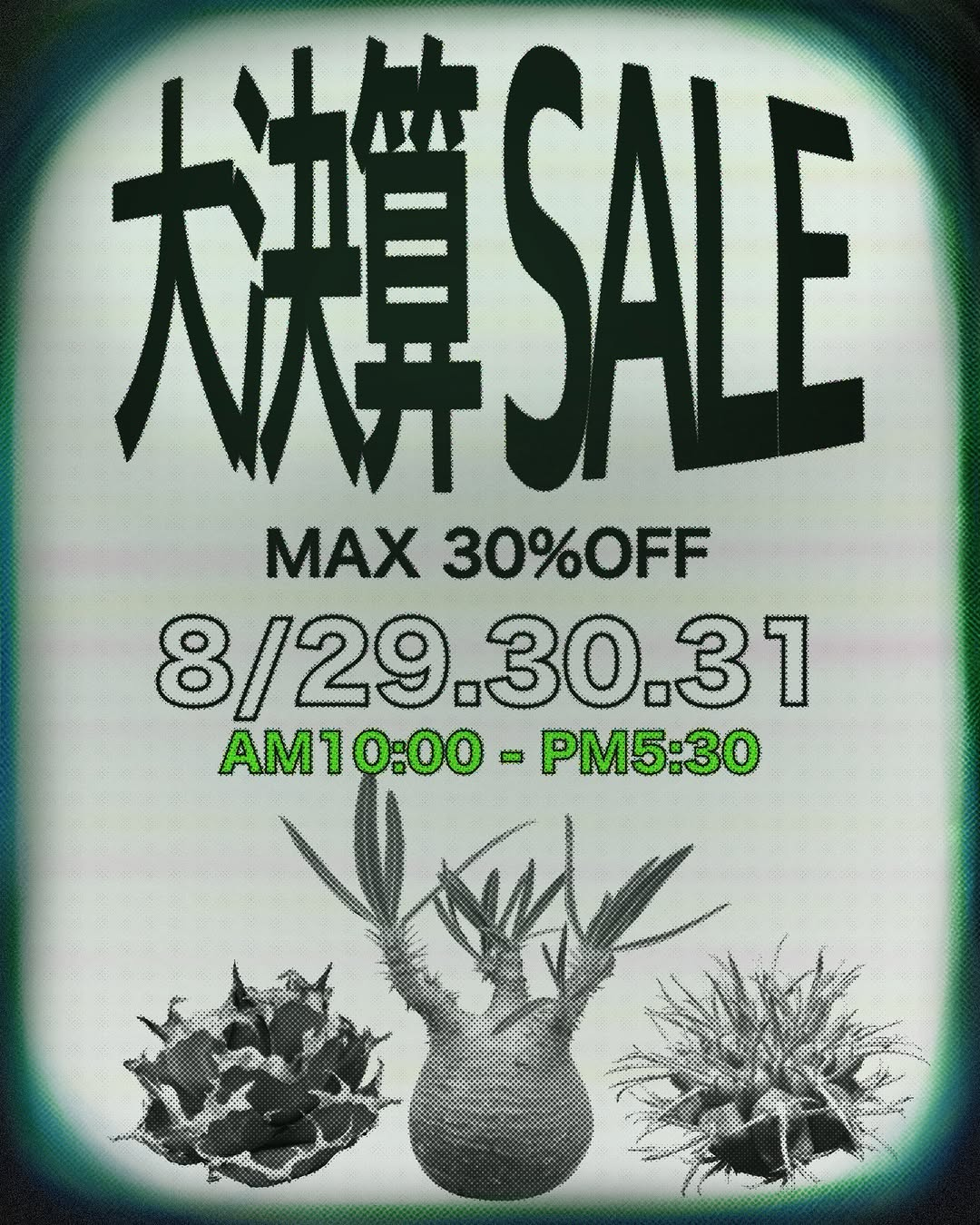 TRILLGREENが大決算SALEを開催、植物最大30%OFFとTEE SHIRT10%OFFを実施