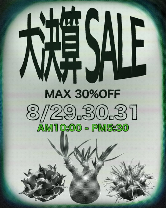 TRILLGREENが大決算SALEを開催、植物最大30%OFFとTEE SHIRT10%OFFを実施