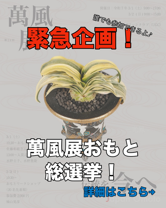 第24回萬風展が東京上野で開催決定、人気投票とBest of 萬風賞の新設で新たな展開へ