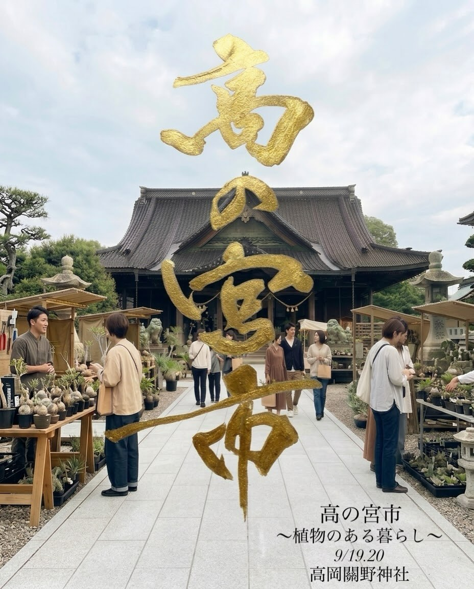 高の宮市2026が植物イベントを開催、高岡關野神社境内に観葉植物や多肉植物が集まる