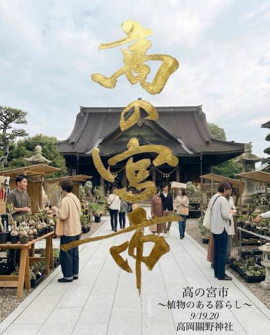 高の宮市2026が植物イベントを開催、高岡關野神社境内に観葉植物や多肉植物が集まる
