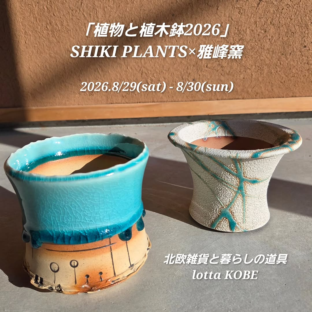 「植物と植木鉢2026」をSHIKI PLANTSと雅峰窯が開催、希少な塊根植物と植木鉢を展示販売