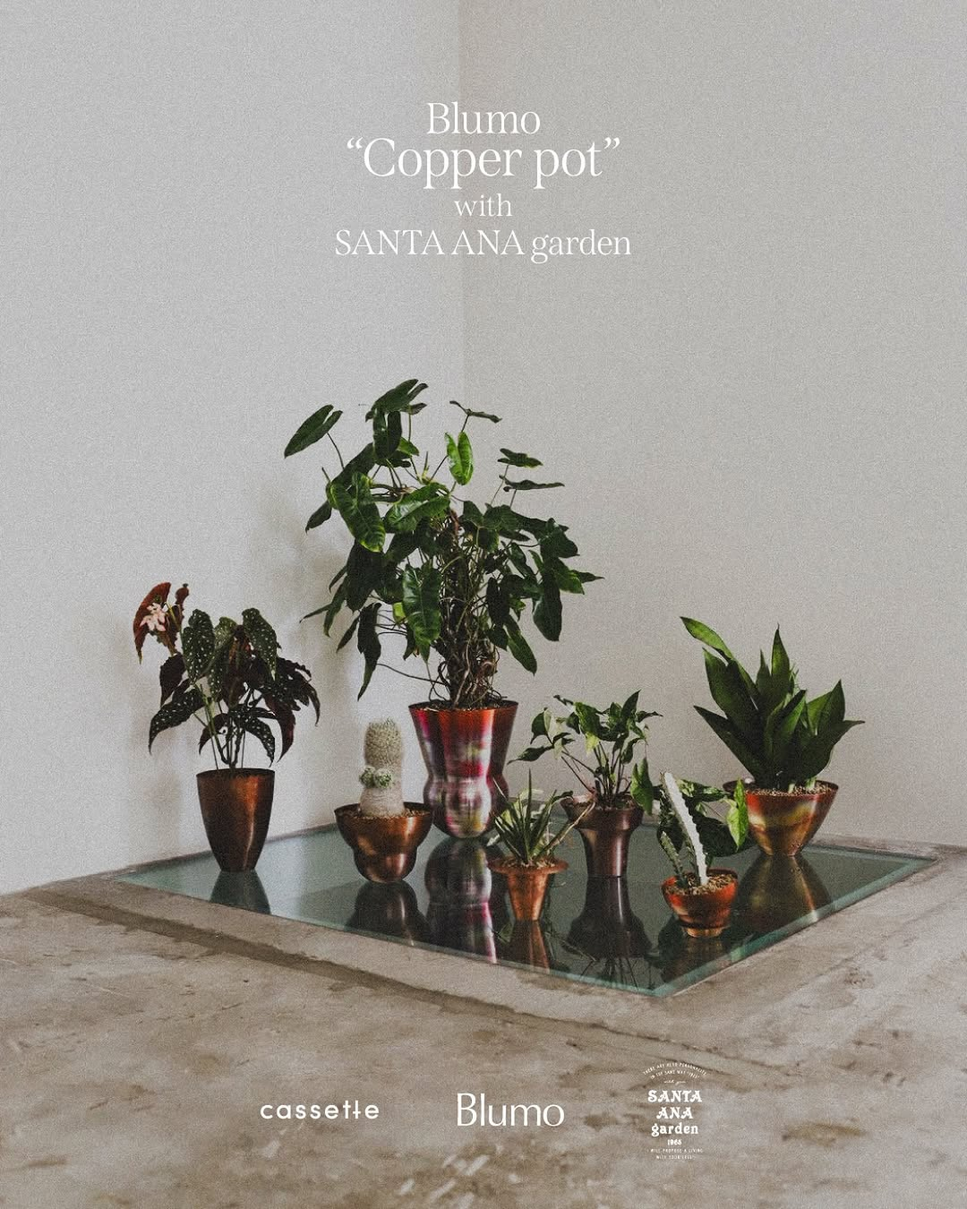 BlumoがCopper potと植物の企画展を開催、SANTA ANA gardenの植物と銅製植木鉢を展示