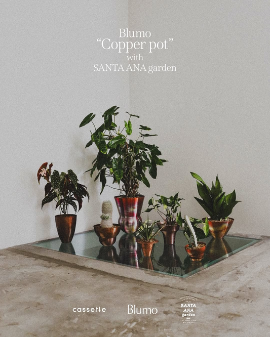 BlumoがCopper potと植物の企画展を開催、SANTA ANA gardenの植物と銅製植木鉢を展示