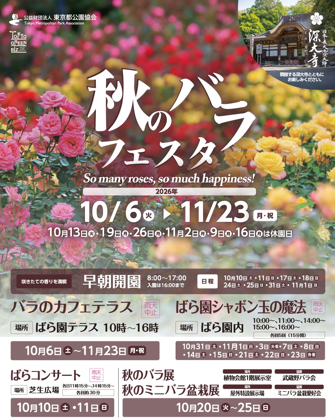 神代植物公園「秋のバラフェスタ」2026年開催、早朝開園や秋のバラ展など多彩な企画を実施