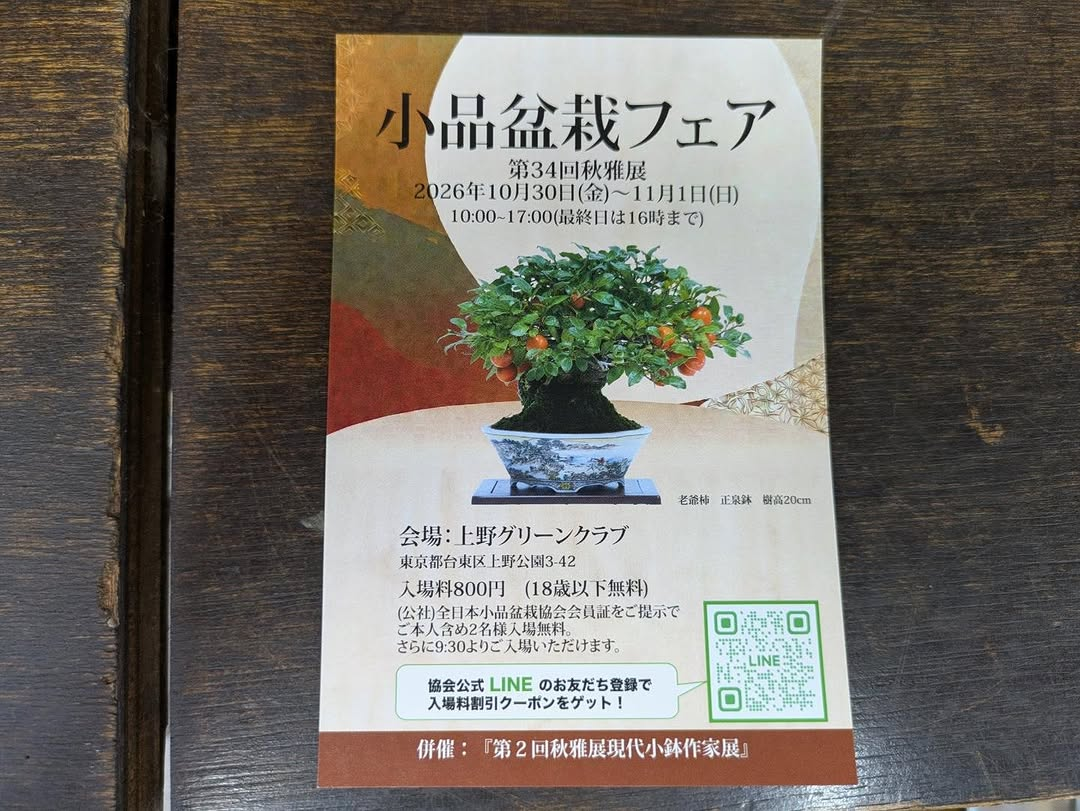 小品盆栽フェア第34回秋雅展を上野で開催、老爺柿正泉鉢と現代小鉢作家展を案内