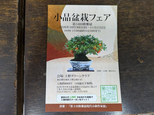 小品盆栽フェア第34回秋雅展を上野で開催、老爺柿正泉鉢と現代小鉢作家展を案内