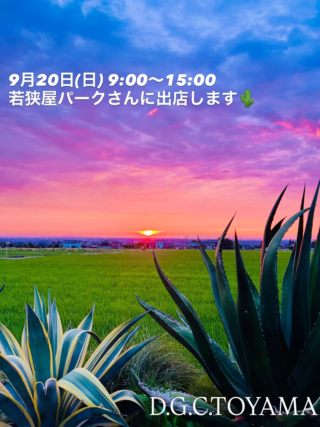 D.G.C.TOYAMAが若狭屋パークに出店、アガベやドライガーデンなどを展開