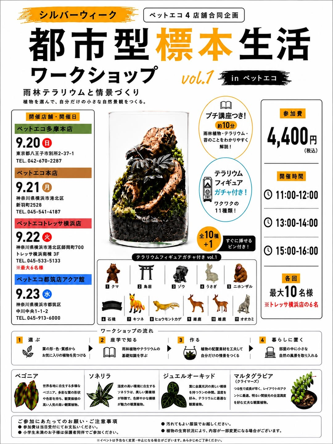 都市型標本生活ワークショップvol.1がトレッサ横浜店で9月22日に開催
