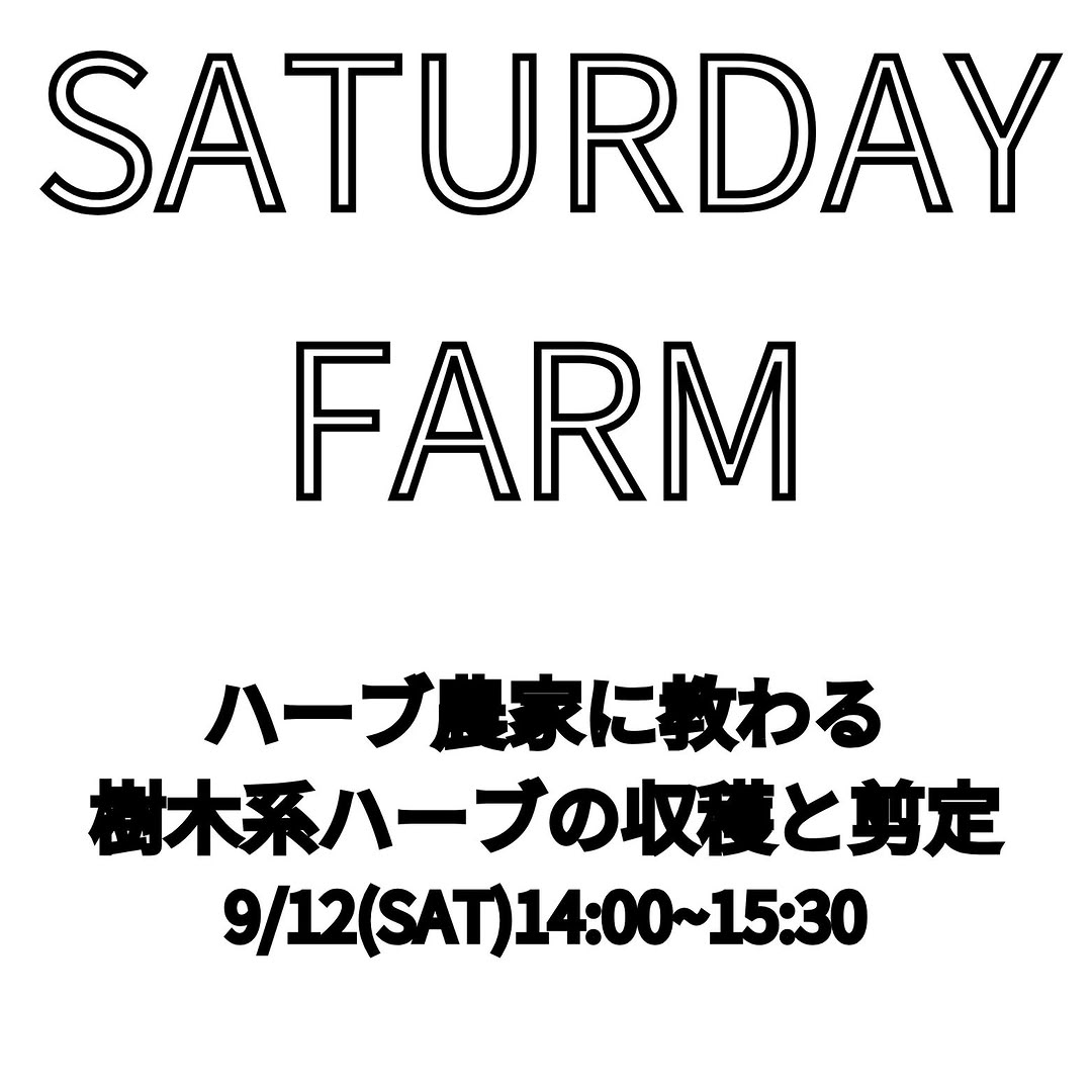 Saturday Farm 2026が樹木系ハーブの収穫と剪定を開催、収穫後の洗浄作業も実施