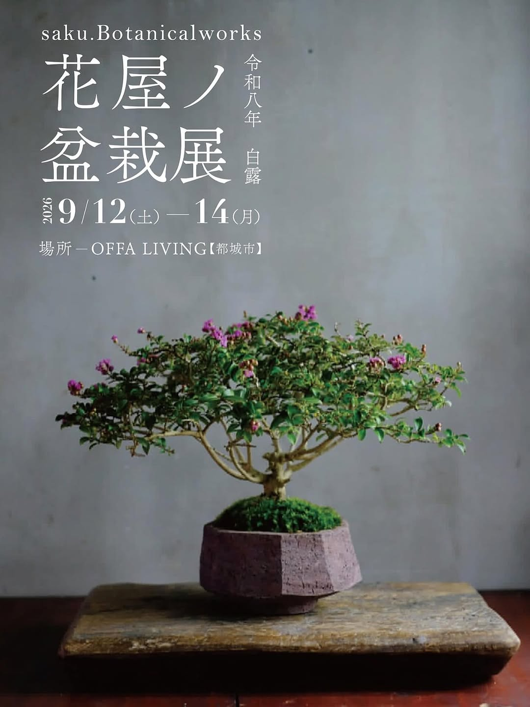 saku.Botanicalworksが3回目の花屋ノ盆栽展令和八年白露を開催、紅葉や実ものと松柏類を用意