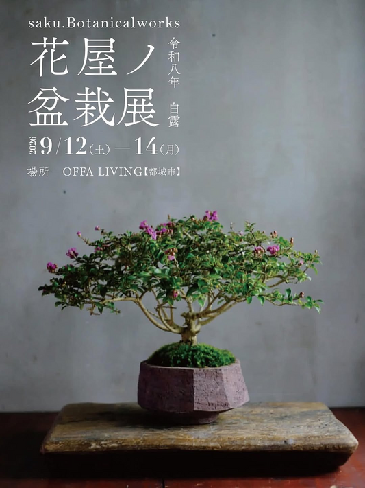 saku.Botanicalworksが3回目の花屋ノ盆栽展令和八年白露を開催、紅葉や実ものと松柏類を用意