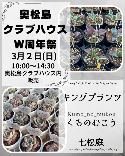 奥松島クラブハウスがW周年祭を開催、盆栽とエケベリア、アガベの専門店が集結し多彩な展示販売を展開