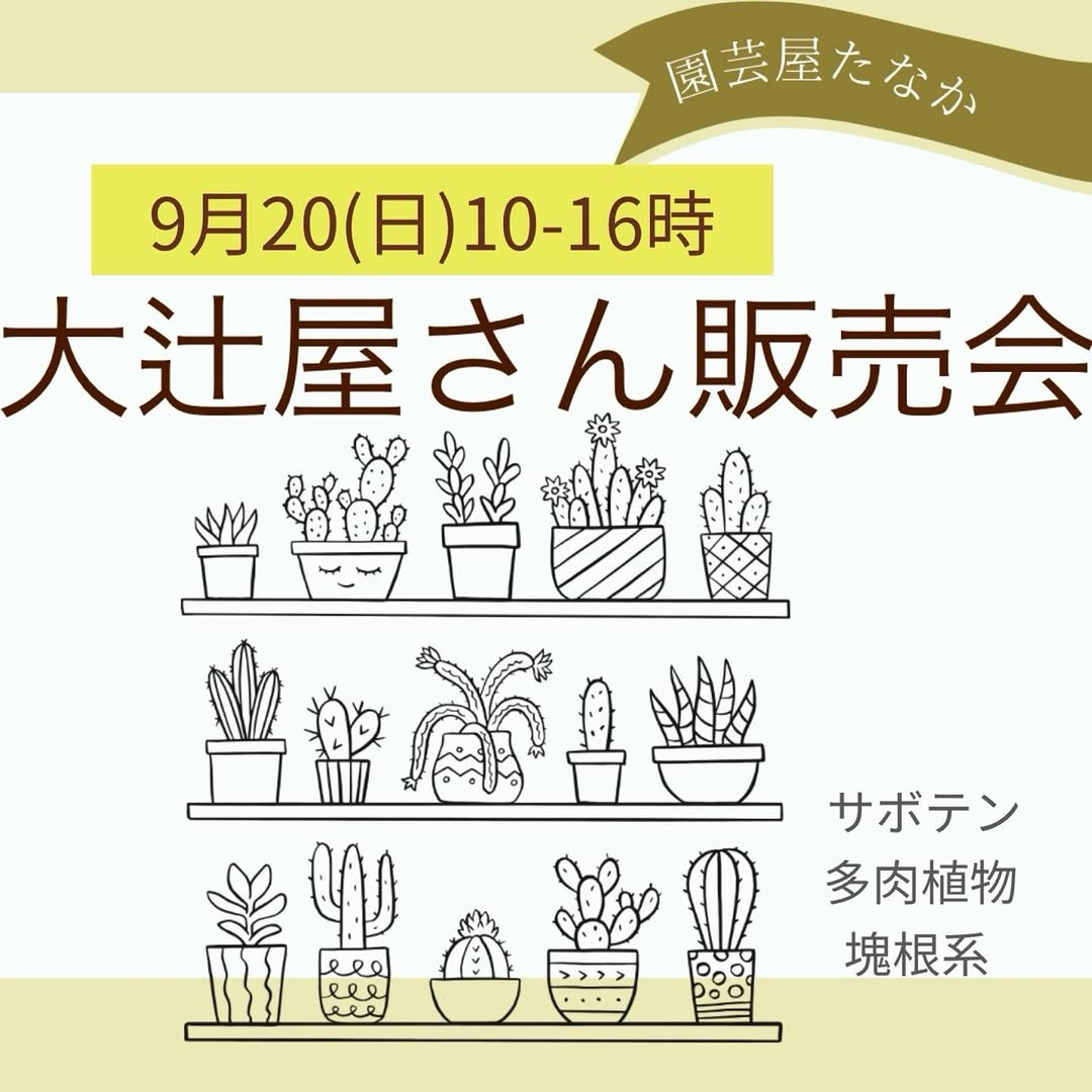大辻屋さん出張販売会2026を園芸屋たなかで開催、塊根植物やアガベなど当日限定の多肉植物を販売予定