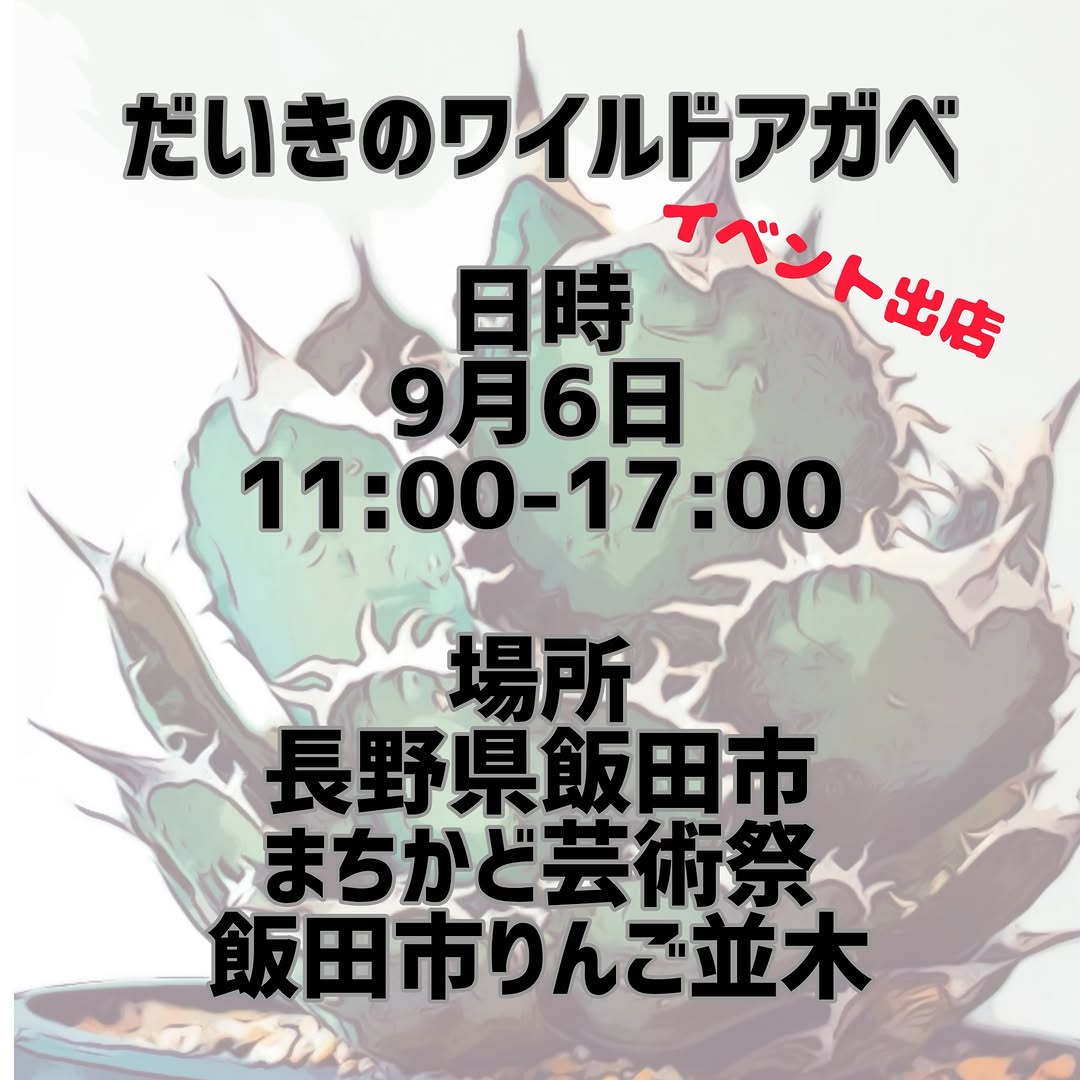 まちかど芸術祭2026でだいきのワイルドアガベが出店、高級アガベから実生苗や普及種まで用意
