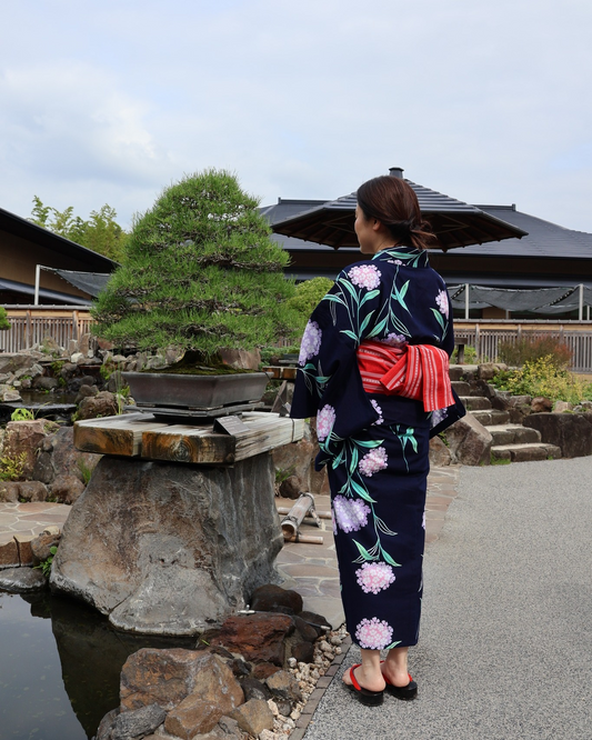 大宮盆栽美術館が企画展盆石の美2026を開催、盆石による9つの山水景と実演体験を紹介