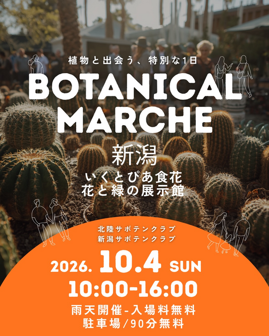 ボタニカルマルシェ新潟2026が10月4日に開催、多肉植物やサボテンなど多数の出店者が参加